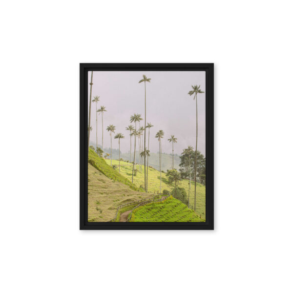 A Gaze into the Heart of Cocora - Image 4