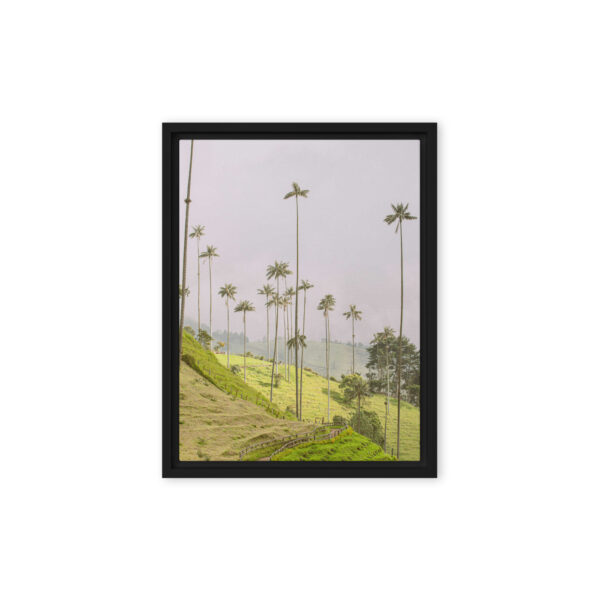 A Gaze into the Heart of Cocora - Image 5