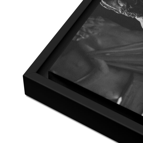 framed-canvas-(in)-black-12x16-product-details-680e7f852a18b