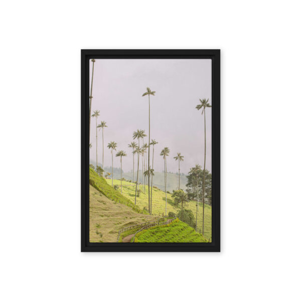 A Gaze into the Heart of Cocora
