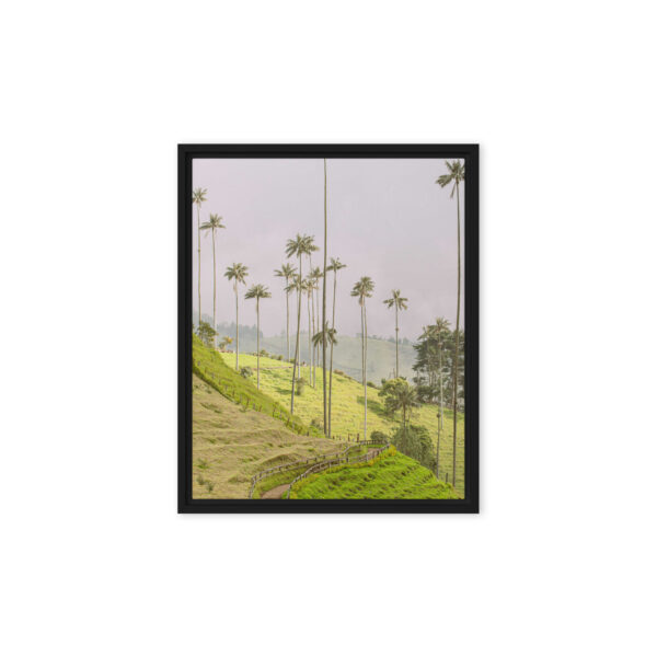 A Gaze into the Heart of Cocora - Image 2