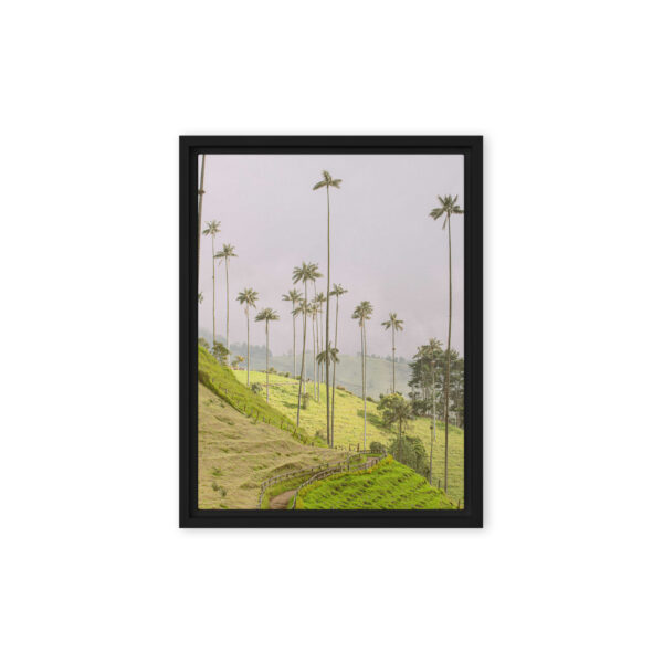 A Gaze into the Heart of Cocora - Image 3
