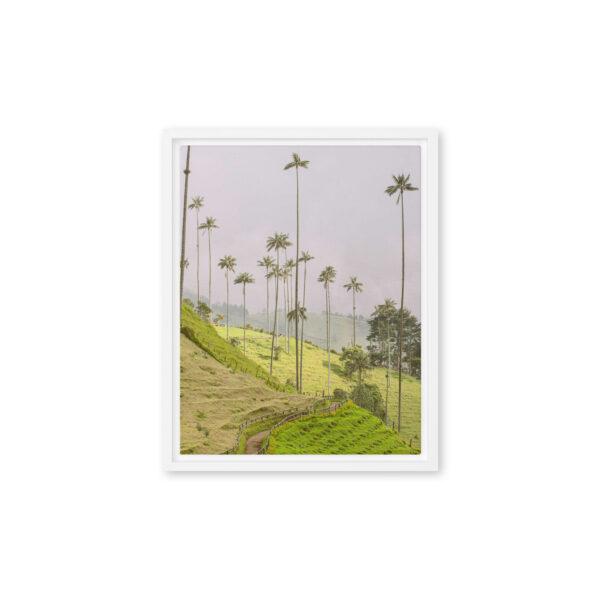 A Gaze into the Heart of Cocora - Image 8