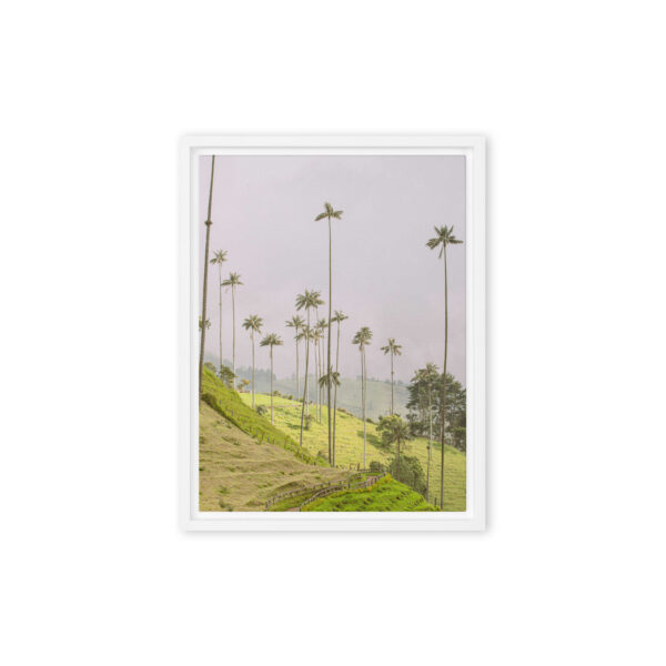 A Gaze into the Heart of Cocora - Image 9