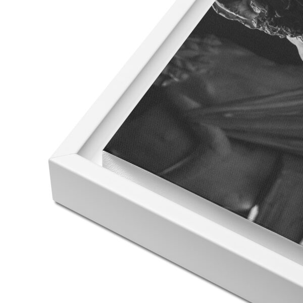 framed-canvas-(in)-white-12x16-product-details-680e7f852a266