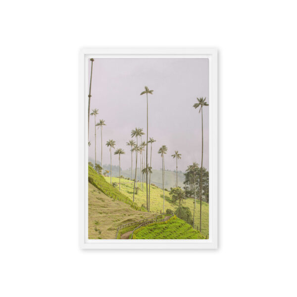 A Gaze into the Heart of Cocora - Image 10