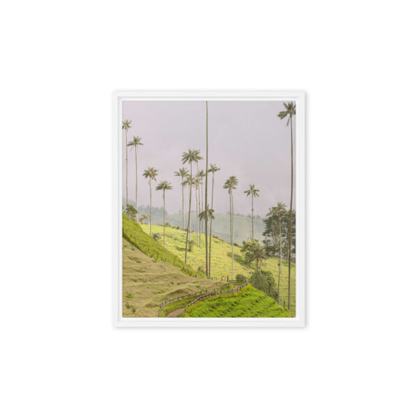 A Gaze into the Heart of Cocora - Image 6