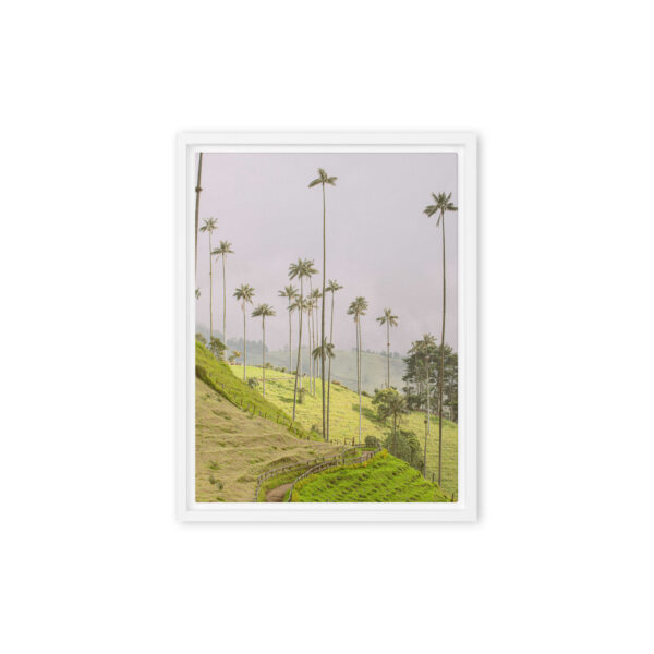 A Gaze into the Heart of Cocora - Image 7