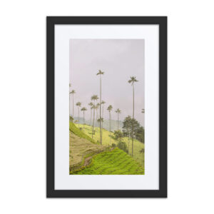 A Gaze into the Heart of Cocora