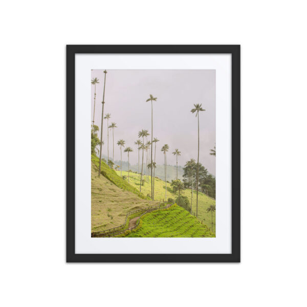 A Gaze into the Heart of Cocora - Image 2