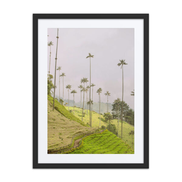 A Gaze into the Heart of Cocora - Image 3