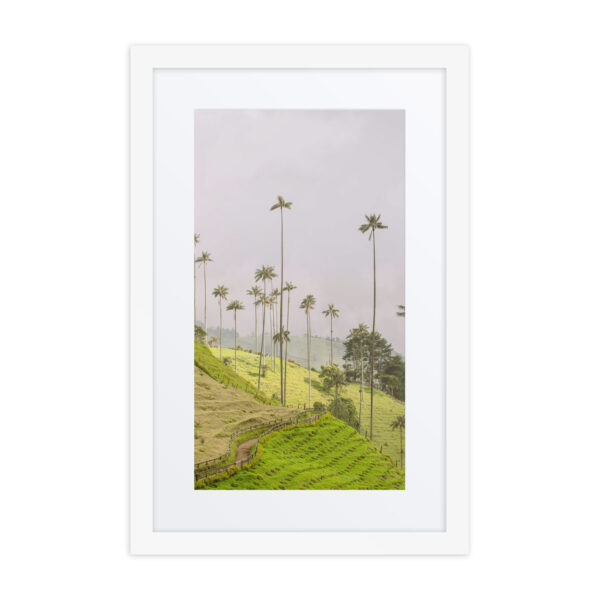 A Gaze into the Heart of Cocora - Image 4