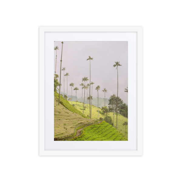 A Gaze into the Heart of Cocora - Image 5