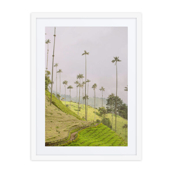 A Gaze into the Heart of Cocora - Image 6