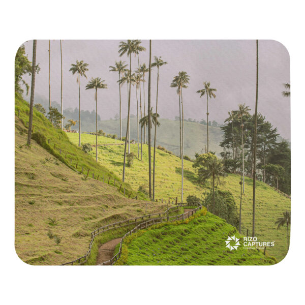 A Gaze into the Heart of Cocora - Image 3
